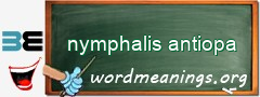 WordMeaning blackboard for nymphalis antiopa